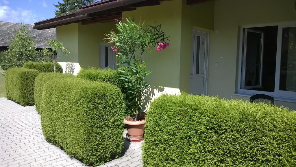 Privat No 13 Lejlighed Liptovský Mikuláš Værelse billede